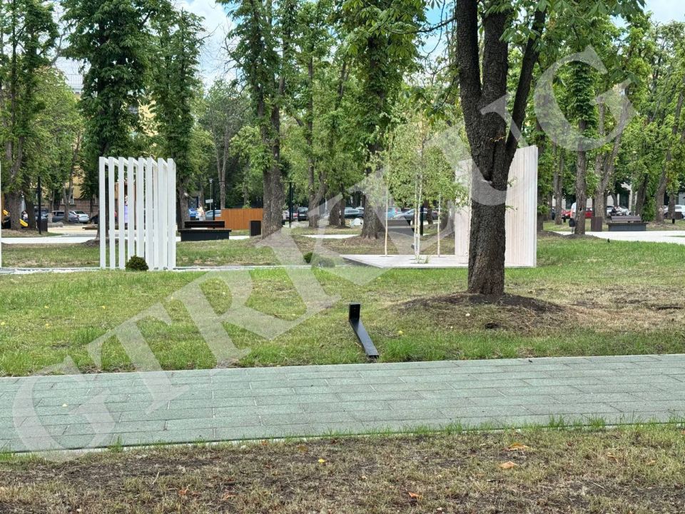 В парке ВОВ у Администрации случилось "светопреступление" В парке ВОВ у Администрации случилось "светопреступление"