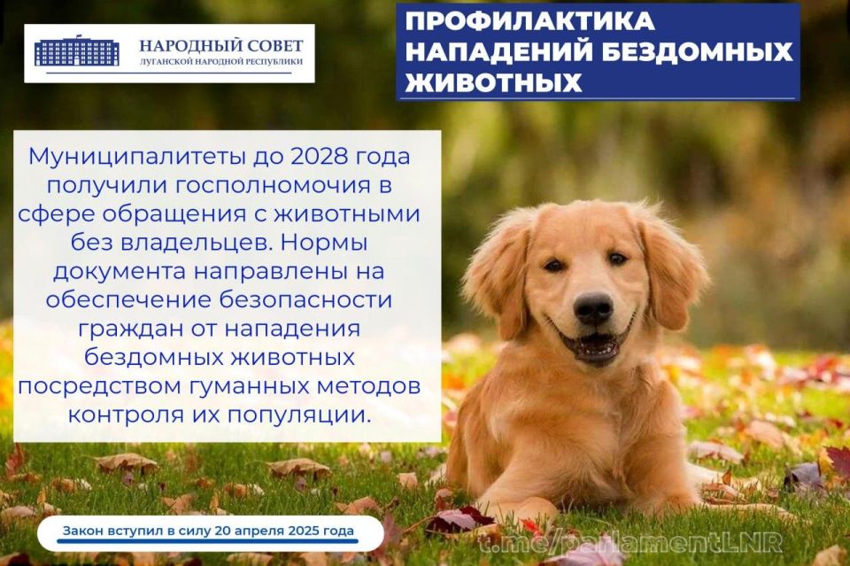 Итоги законотворческой деятельности Парламента за первое полугодие 2025 года Итоги законотворческой деятельности Парламента за первое полугодие 2025 года