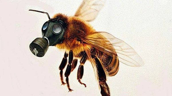 Вниманию сельскохозяйственных товаропроизводителей! Вниманию сельскохозяйственных товаропроизводителей!