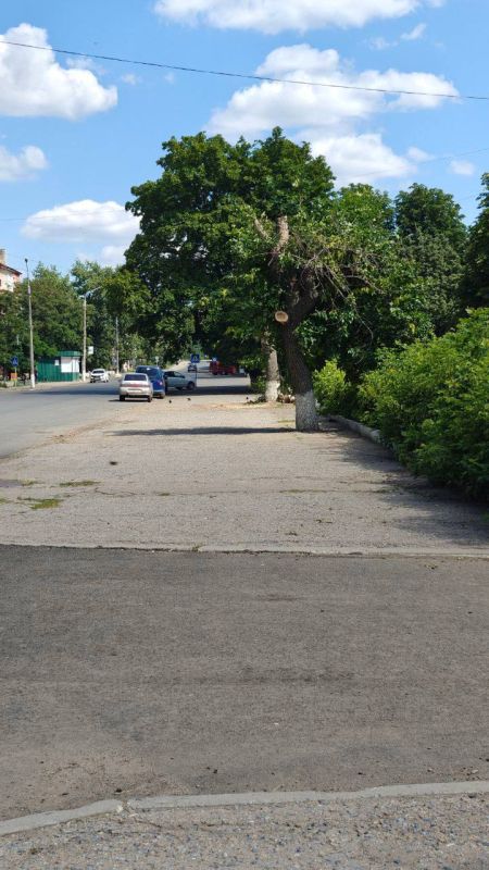 Виктория Сергеева: Коммунальщики в действии. В Кировске продолжается покос травы, обрезка и спил аварийных деревьев, а также ремонтные работы ливневой канализации Виктория Сергеева: Коммунальщики в действии. В Кировске продолжается покос травы, обрезка и спил аварийных деревьев, а также ремонтные работы ливневой канализации