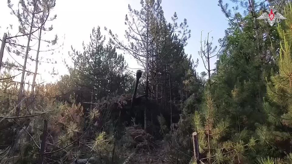   -ѻ         