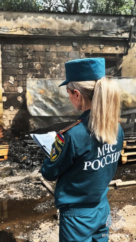 Спасатели МЧС России спасли кота из горящего склада в Луганске Спасатели МЧС России спасли кота из горящего склада в Луганске