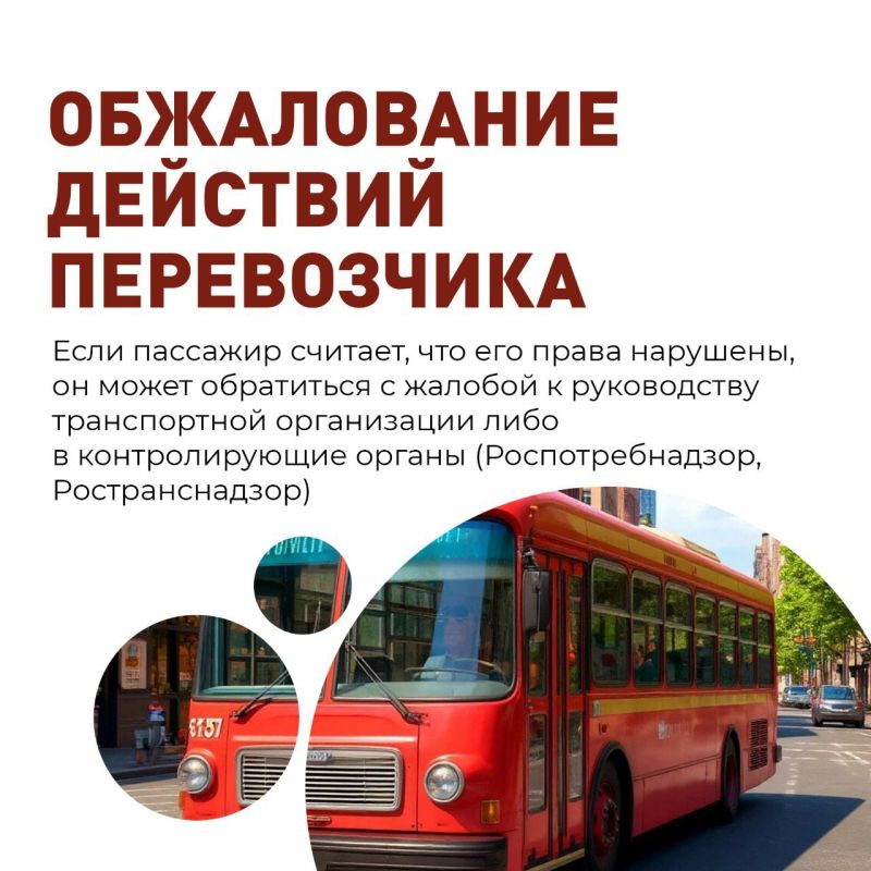 В рамках рубрики #Транспортнаядоступность, и в рамках недели приуроченной ко Дню семьи, любви и верности – дню памяти святых Петра и Февронии Муромских, мы расскажем о правах пассажиров автомобильного общественного транспорта В рамках рубрики #Транспортнаядоступность, и в рамках недели приуроченной ко Дню семьи, любви и верности – дню памяти святых Петра и Февронии Муромских, мы расскажем о правах пассажиров автомобильного общественного транспорта