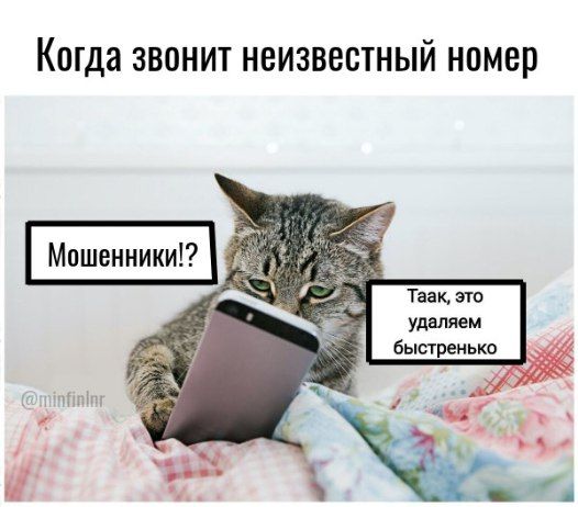   ,        :