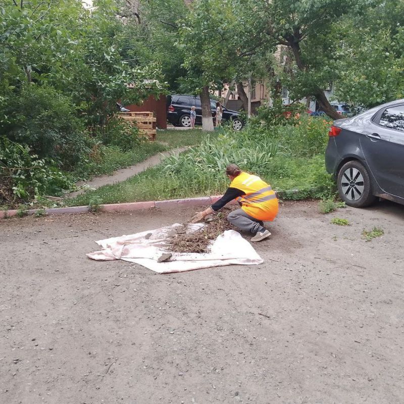 Вырубка поросли и уборка придомовой территории являются важными мероприятиями, которые способствуют поддержанию чистоты и порядка на придомовых территориях Вырубка поросли и уборка придомовой территории являются важными мероприятиями, которые способствуют поддержанию чистоты и порядка на придомовых территориях
