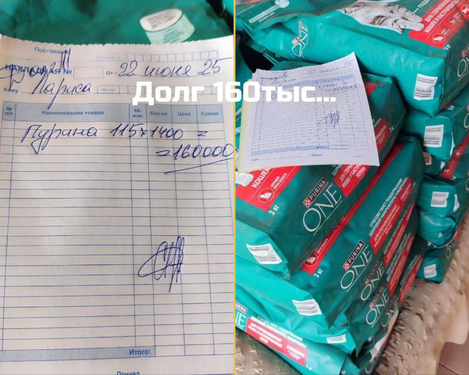Друзья, наш частный приют "Мурысин дом" г.Луганска, который недавно переименован ( нас многие путали с таким же названием приюта из Донецка), где более 200 хвостиков, находясь в зоне проведения СВО и не имея никакой... Друзья, наш частный приют "Мурысин дом" г.Луганска, который недавно переименован ( нас многие путали с таким же названием приюта из Донецка), где более 200 хвостиков, находясь в зоне проведения СВО и не имея никакой...