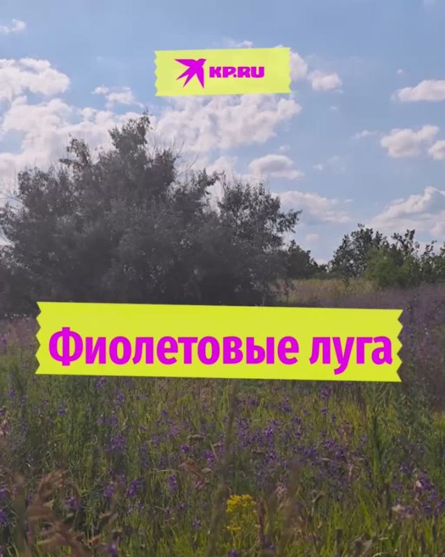   .             @kp_lnr