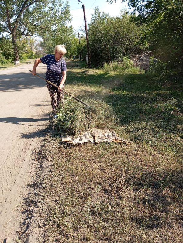 Виктория Сергеева: Коммунальщики в действии. В Кировске продолжается покос травы, обрезка и спил аварийных деревьев Виктория Сергеева: Коммунальщики в действии. В Кировске продолжается покос травы, обрезка и спил аварийных деревьев
