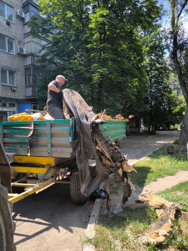 Виктория Сергеева: Коммунальщики в действии. В Кировске продолжается покос травы, обрезка и спил аварийных деревьев Виктория Сергеева: Коммунальщики в действии. В Кировске продолжается покос травы, обрезка и спил аварийных деревьев