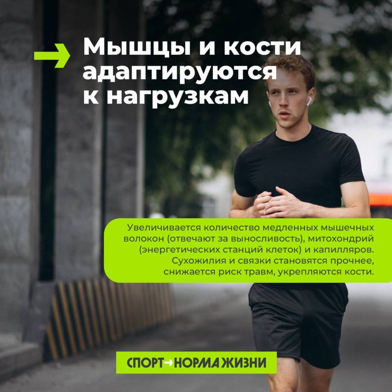 Бег на длинные дистанции – меняет твое тело на клеточном уровне Бег на длинные дистанции – меняет твое тело на клеточном уровне