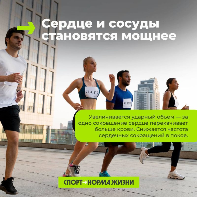 Бег на длинные дистанции – меняет твое тело на клеточном уровне Бег на длинные дистанции – меняет твое тело на клеточном уровне