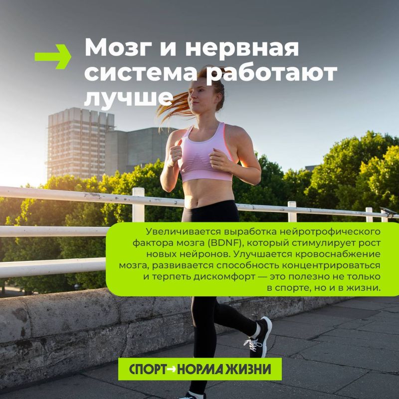 Бег на длинные дистанции – меняет твое тело на клеточном уровне Бег на длинные дистанции – меняет твое тело на клеточном уровне