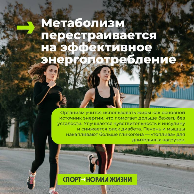 Бег на длинные дистанции – меняет твое тело на клеточном уровне Бег на длинные дистанции – меняет твое тело на клеточном уровне
