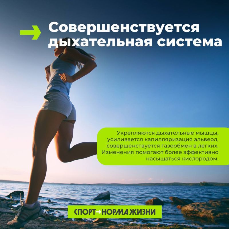 Бег на длинные дистанции – меняет твое тело на клеточном уровне Бег на длинные дистанции – меняет твое тело на клеточном уровне