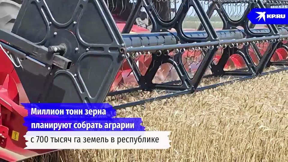      2025