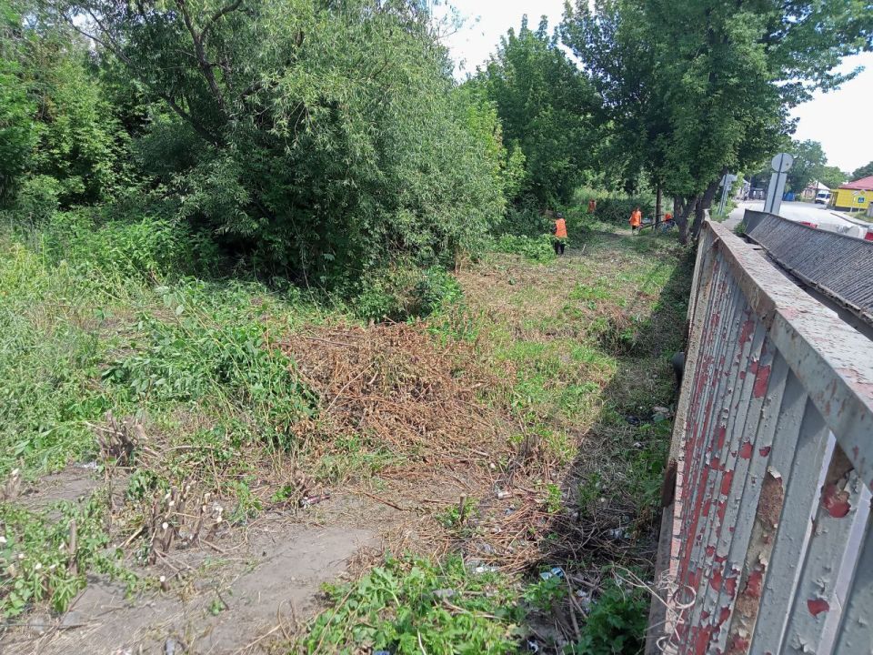 Приняли участие в Всероссийской акции по очистке от мусора берегов водных объектов «Вода России» Приняли участие в Всероссийской акции по очистке от мусора берегов водных объектов «Вода России»