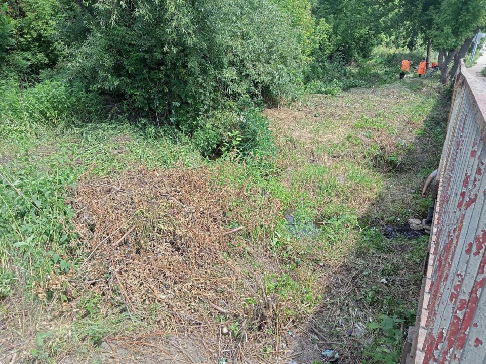 Приняли участие в Всероссийской акции по очистке от мусора берегов водных объектов «Вода России» Приняли участие в Всероссийской акции по очистке от мусора берегов водных объектов «Вода России»