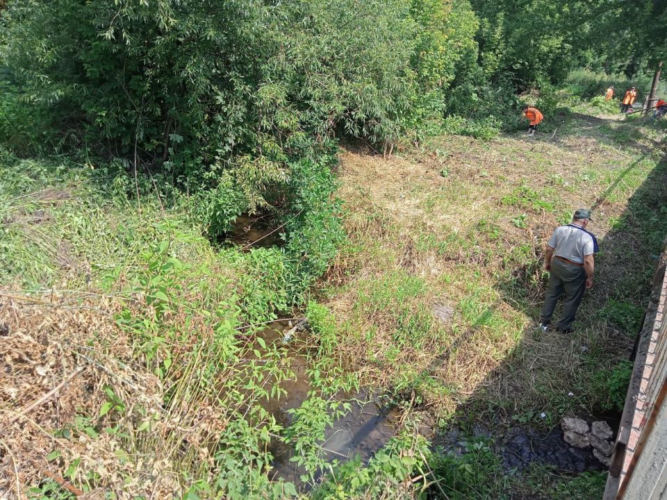 Приняли участие в Всероссийской акции по очистке от мусора берегов водных объектов «Вода России» Приняли участие в Всероссийской акции по очистке от мусора берегов водных объектов «Вода России»