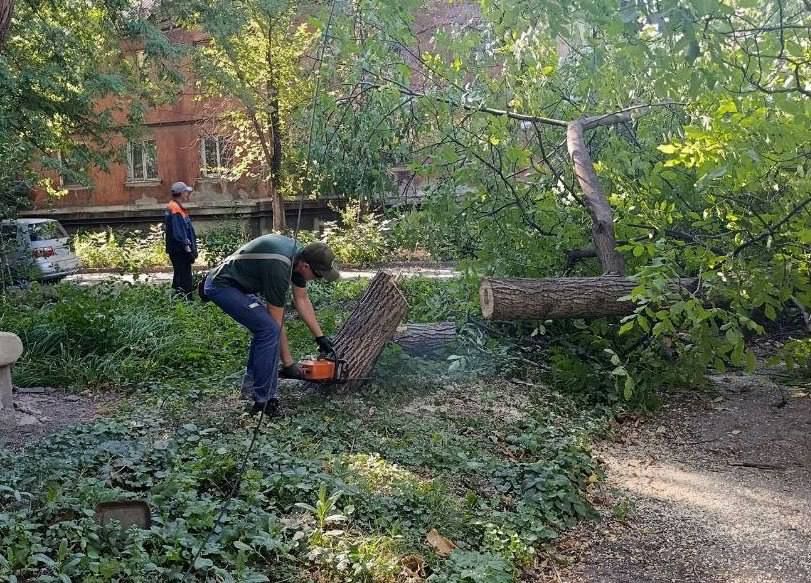 Коммунальные службы проводят работы на территории города Коммунальные службы проводят работы на территории города