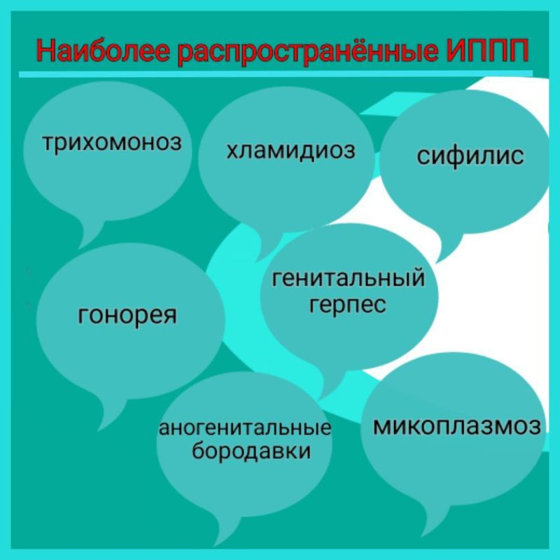 ,    ():   