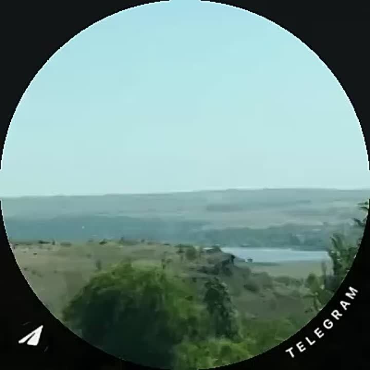    ,              ,      