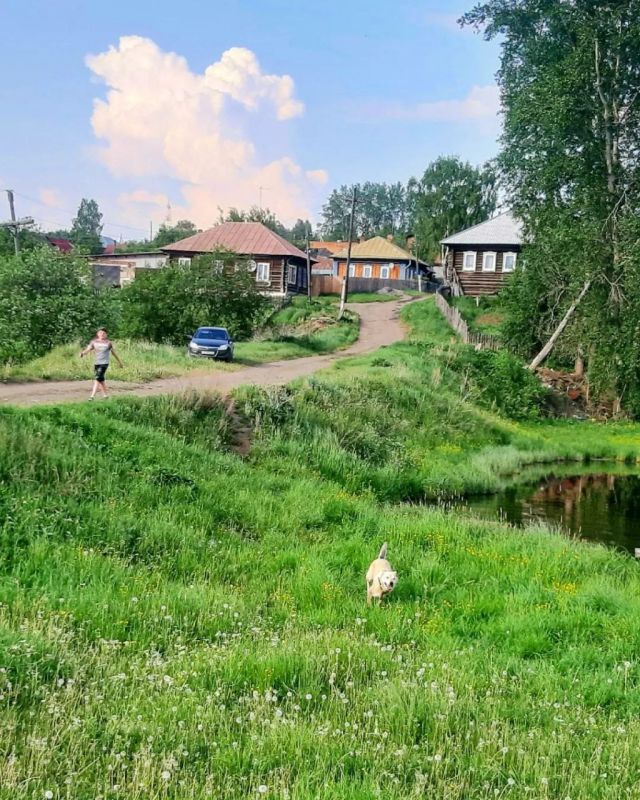   ,   &quot;&quot;   ,    