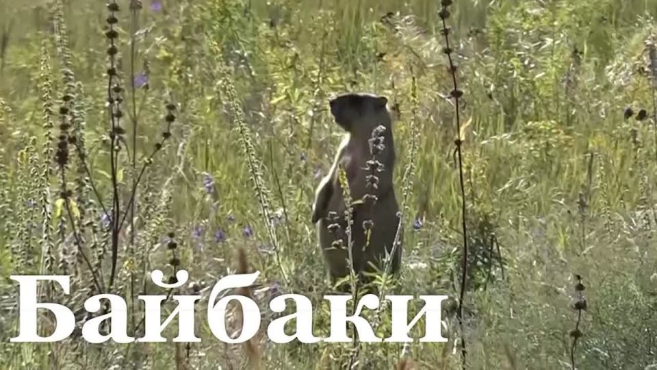     -!