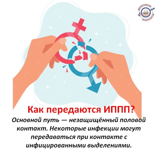     ,    (),    14  20  2025 ,    