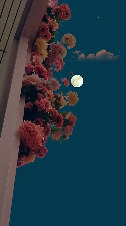    ,    ,    ,  ,     