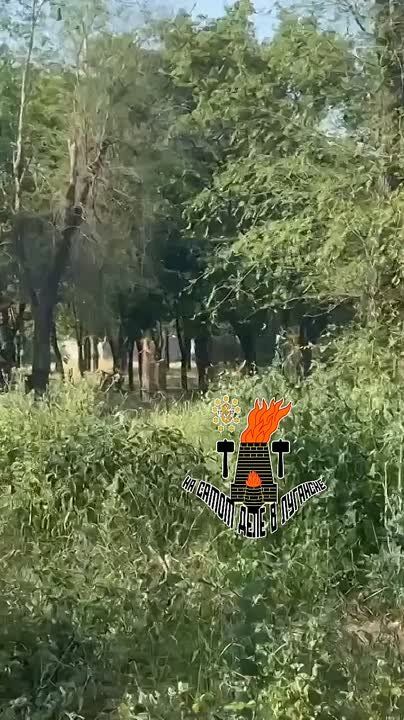   &quot;&quot;  