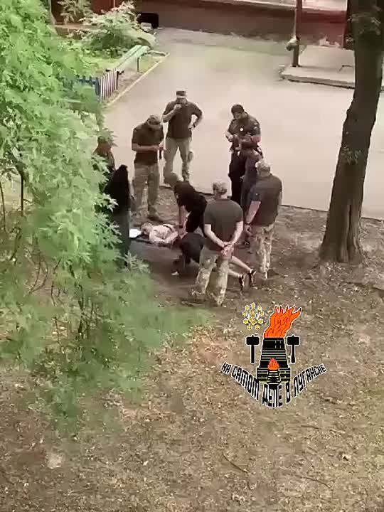         ,           