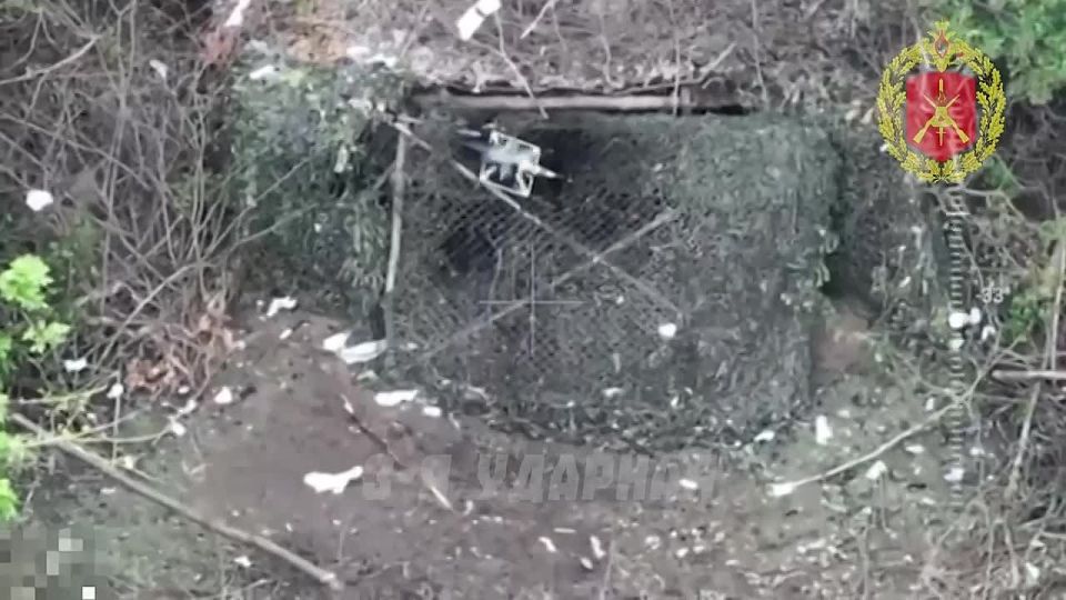  FPV- 7-  3-       ,  ,          
