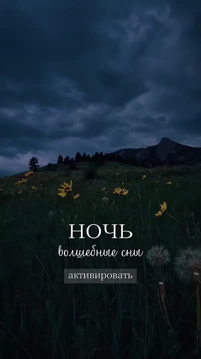  ,  ,       - 