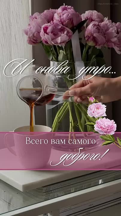   ,  !