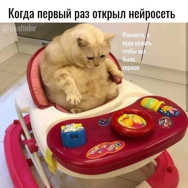     ,    ?