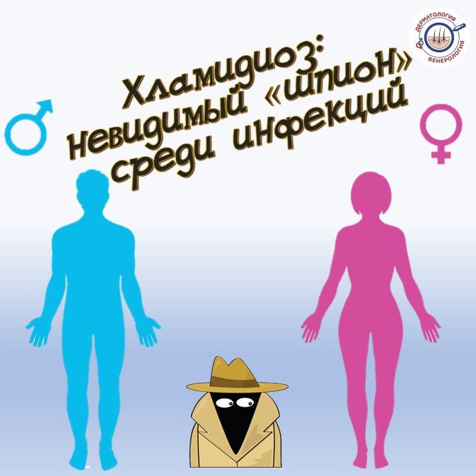        :   ,             