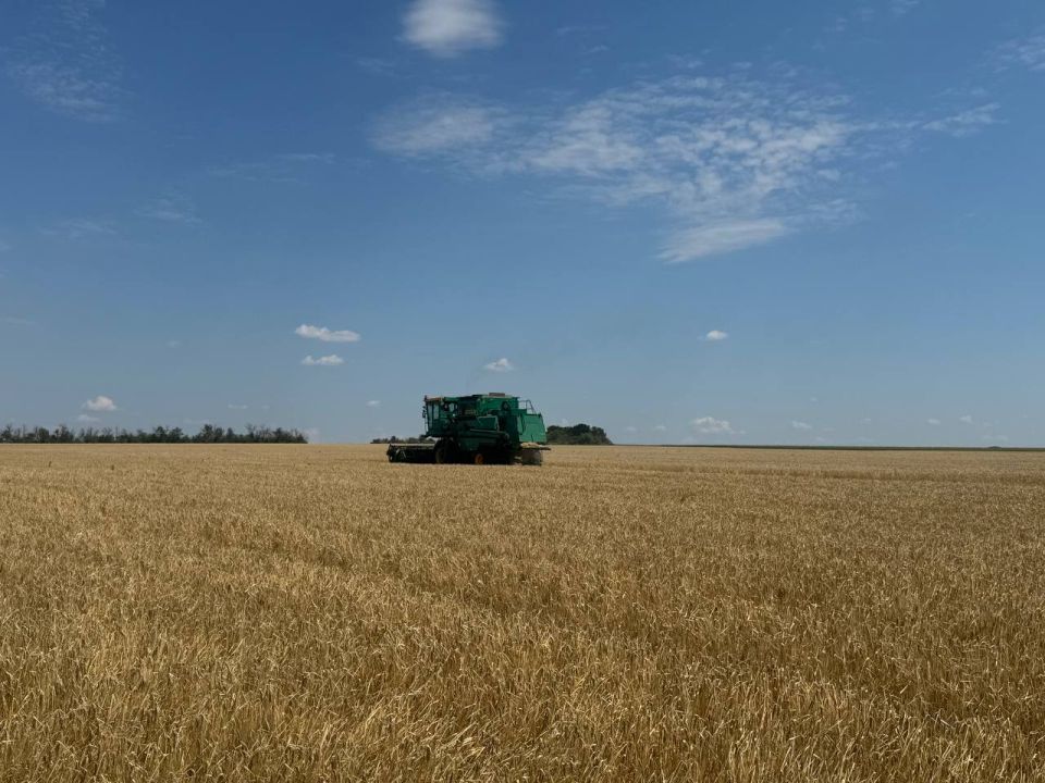 Глава муниципалитета ознакомился с ходом уборочной кампании озимых культур в Славяносербском муниципальном округе Глава муниципалитета ознакомился с ходом уборочной кампании озимых культур в Славяносербском муниципальном округе