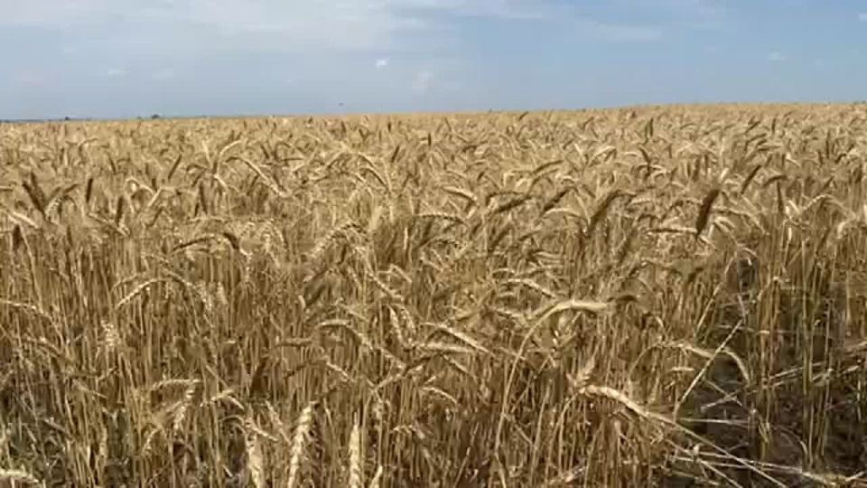 :    ,             