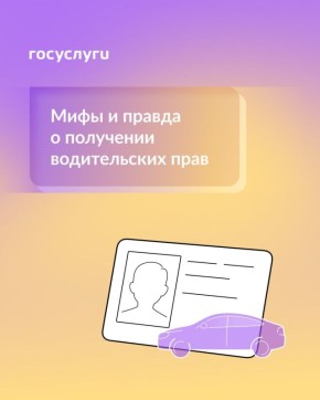 ,   :     
