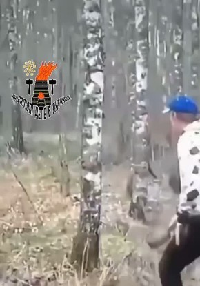        ,         ,  &quot;  &quot;