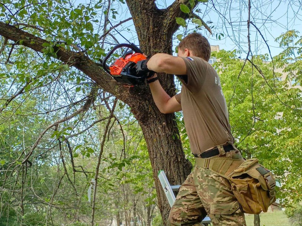 Участники программы «Герои Луганщины» совместно с Народным фронтом благоустроили территорию Луганской республиканской клинической больницы Участники программы «Герои Луганщины» совместно с Народным фронтом благоустроили территорию Луганской республиканской клинической больницы