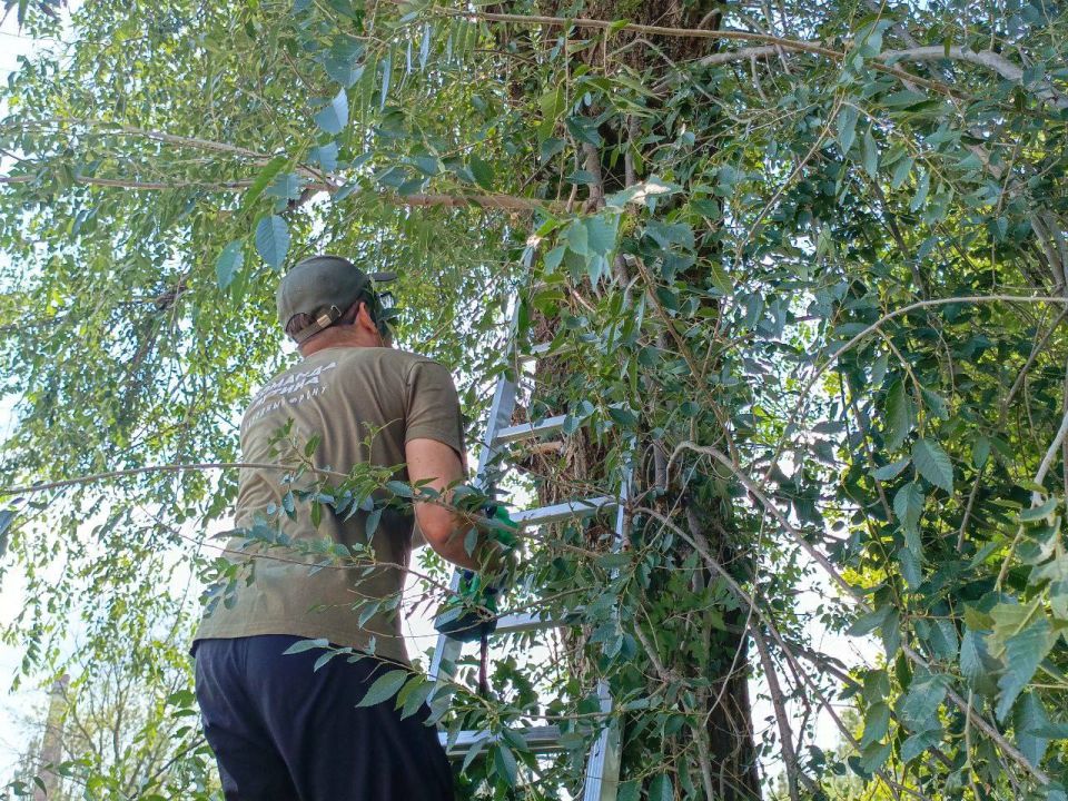 Участники программы «Герои Луганщины» совместно с Народным фронтом благоустроили территорию Луганской республиканской клинической больницы Участники программы «Герои Луганщины» совместно с Народным фронтом благоустроили территорию Луганской республиканской клинической больницы