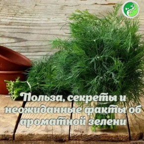    !.        ,         