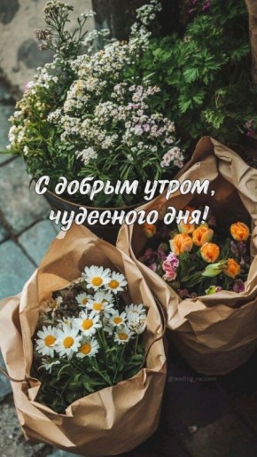  ,  !