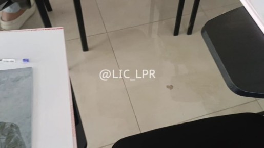                - ,    