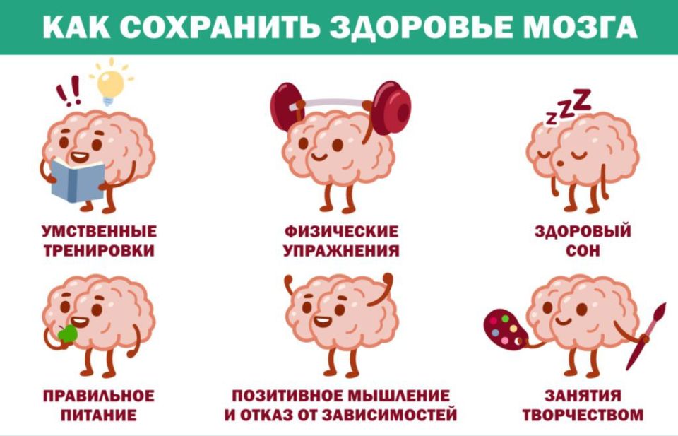 Неделя сохранения здоровья головного мозга Неделя сохранения здоровья головного мозга