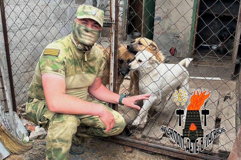 Росгвардейцы приехали в Луганский приют приют для животных "Помоги другу" Росгвардейцы приехали в Луганский приют приют для животных "Помоги другу"