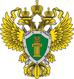        28.07.2025            ,  