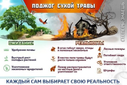  :   :   