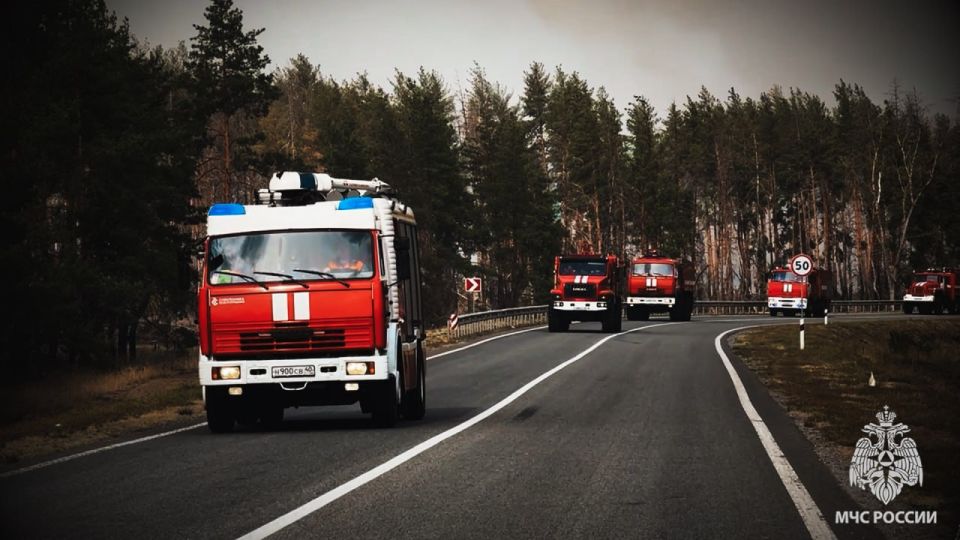 Важная информация!. В Луганской Народной Республике проводятся мероприятия по организации профессионального обучения и дополнительного профессионального образования отдельных категорий граждан в рамках федерального проекта... Важная информация!. В Луганской Народной Республике проводятся мероприятия по организации профессионального обучения и дополнительного профессионального образования отдельных категорий граждан в рамках федерального проекта...